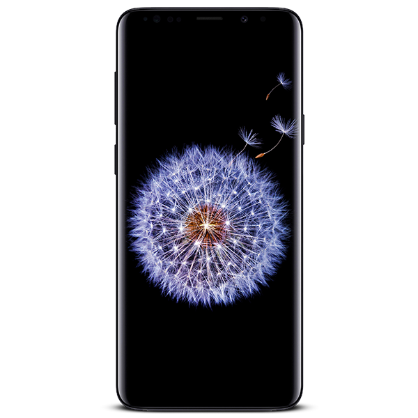 Samsung Galaxy S9 Plus repairs - Screen replacement, Battery Replacement, Charging Port Repair / Replacement, Screen & Back Cover Replacement, Audio earpiece / Mic / Loudspeaker, Rear Camera Replacement, Back, Cover Replacement, Software Upgrade